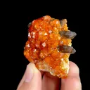 Natural Garnet and Smoky Quartz, Mineral Specimen:Fujian,China (45*50*25MM) - image 3