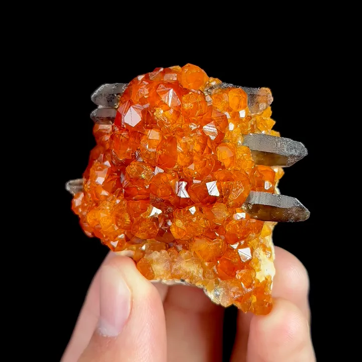 Natural Garnet and Smoky Quartz, Mineral Specimen:Fujian,China (45*50*25MM) image