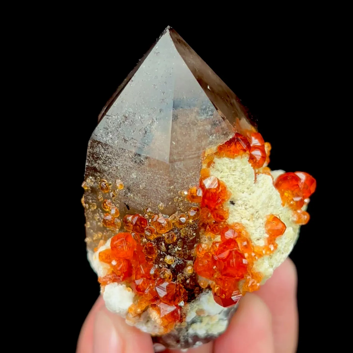 specimen video