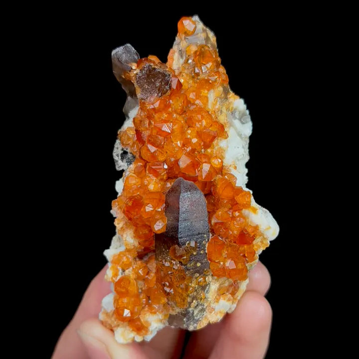 Natural Garnet and Smoky Quartz, Mineral Specimen:Fujian,China (45*80*20MM) - image 4