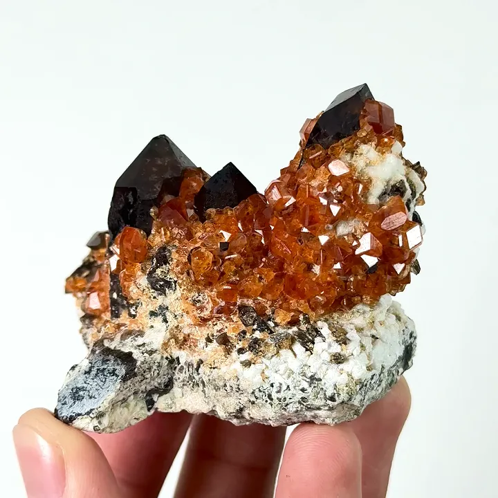 Natural Garnet and Smoky Quartz, Mineral Specimen:Fujian,China (55*40*50MM) - image 4