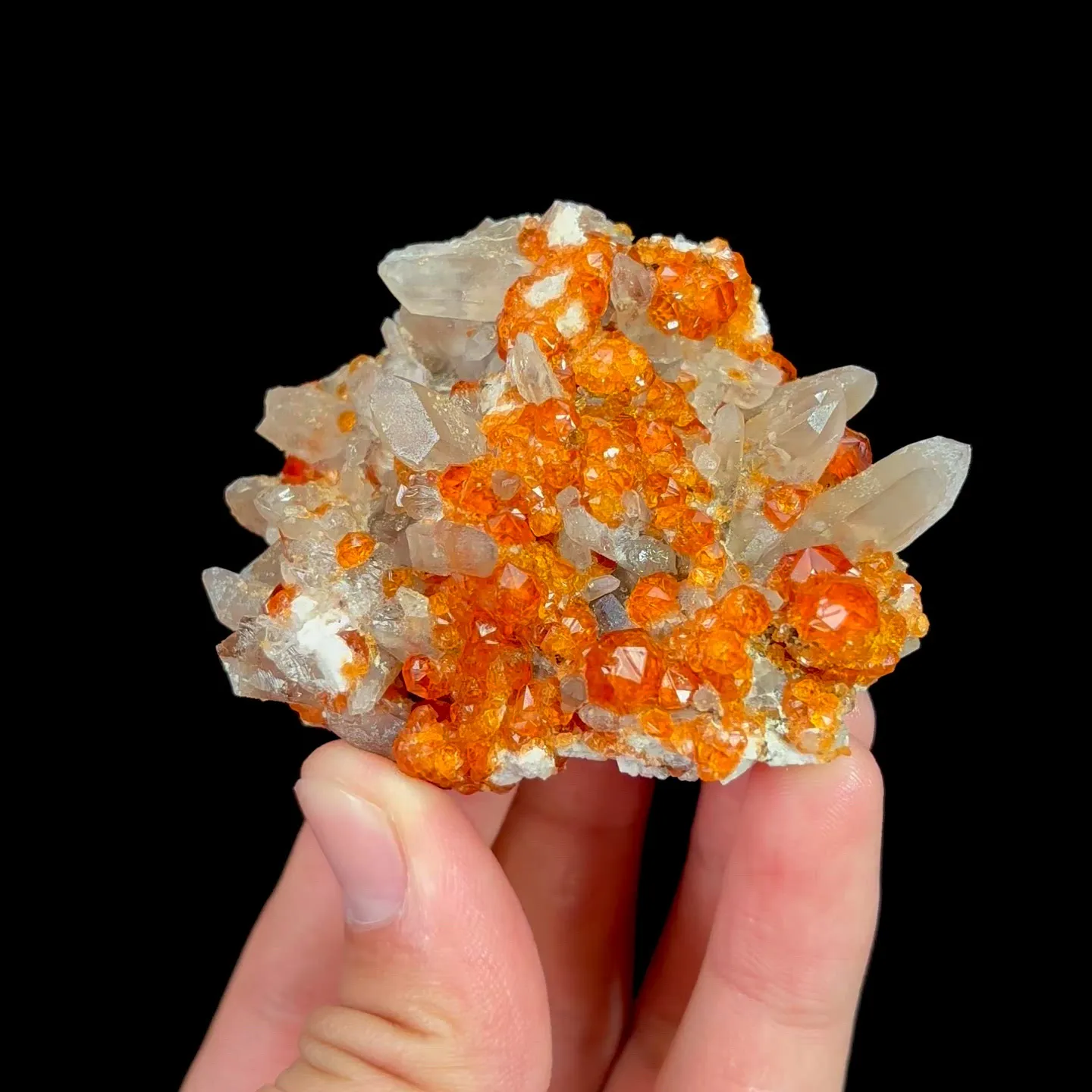 specimen video