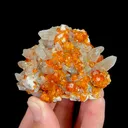 Natural Garnet and Smoky Quartz, Mineral Specimen:Fujian,China (65*50*25MM) - image 5