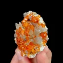 Natural Garnet and Smoky Quartz, Mineral Specimen:Fujian,China (65*50*25MM) - image 4