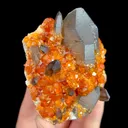 Natural Garnet and Smoky Quartz, Mineral Specimen:Fujian,China (65*65*35MM) - image 3