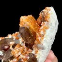 Natural Garnet and Smoky Quartz, Mineral Specimen:Fujian,China (65*80*40MM) - image 4