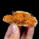 Natural Garnet and Smoky Quartz, Mineral Specimen:Fujian,China (70*30*25MM) - image 1