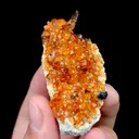 Natural Garnet and Smoky Quartz, Mineral Specimen:Fujian,China (70*30*25MM) - image 2