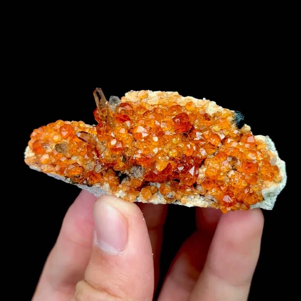 specimen video