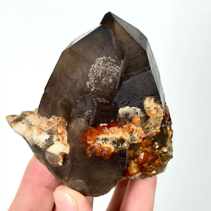 Natural Garnet and Smoky Quartz, Mineral Specimen:Fujian,China (70*70*35MM) - image 3