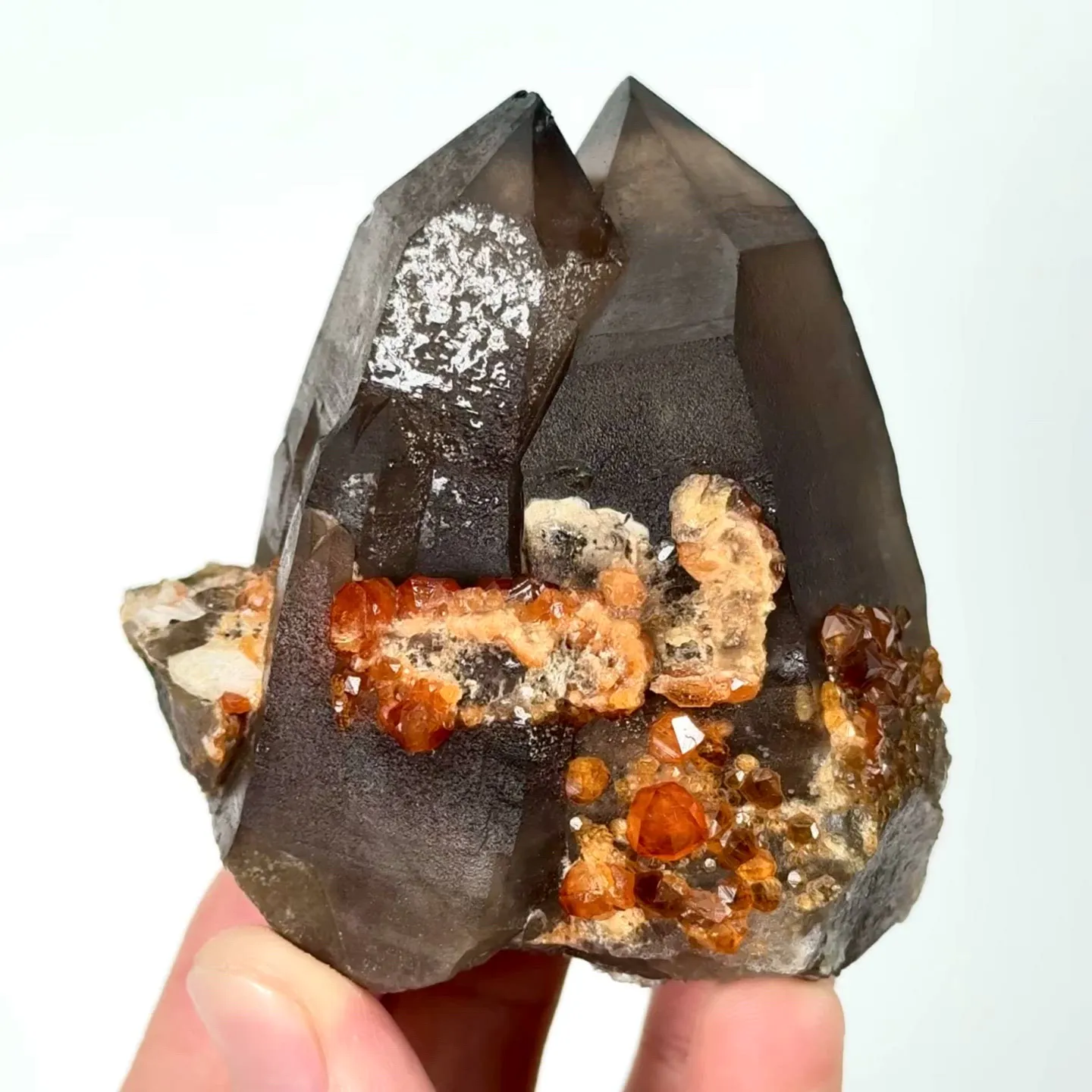 specimen video