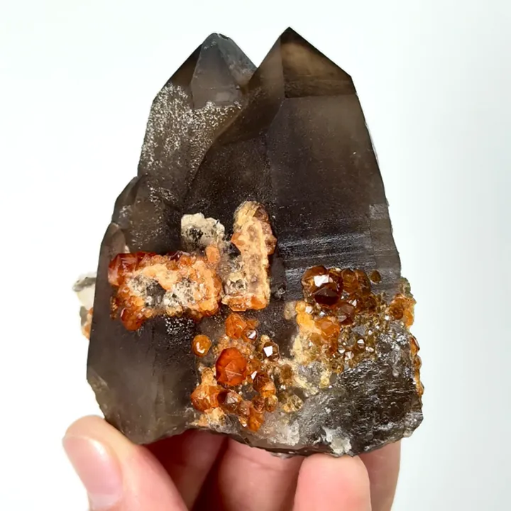 Natural Garnet and Smoky Quartz, Mineral Specimen:Fujian,China (70*70*35MM) image