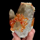 Natural Garnet and Smoky Quartz, Mineral Specimen:Fujian,China (75*85*55MM) - image 2