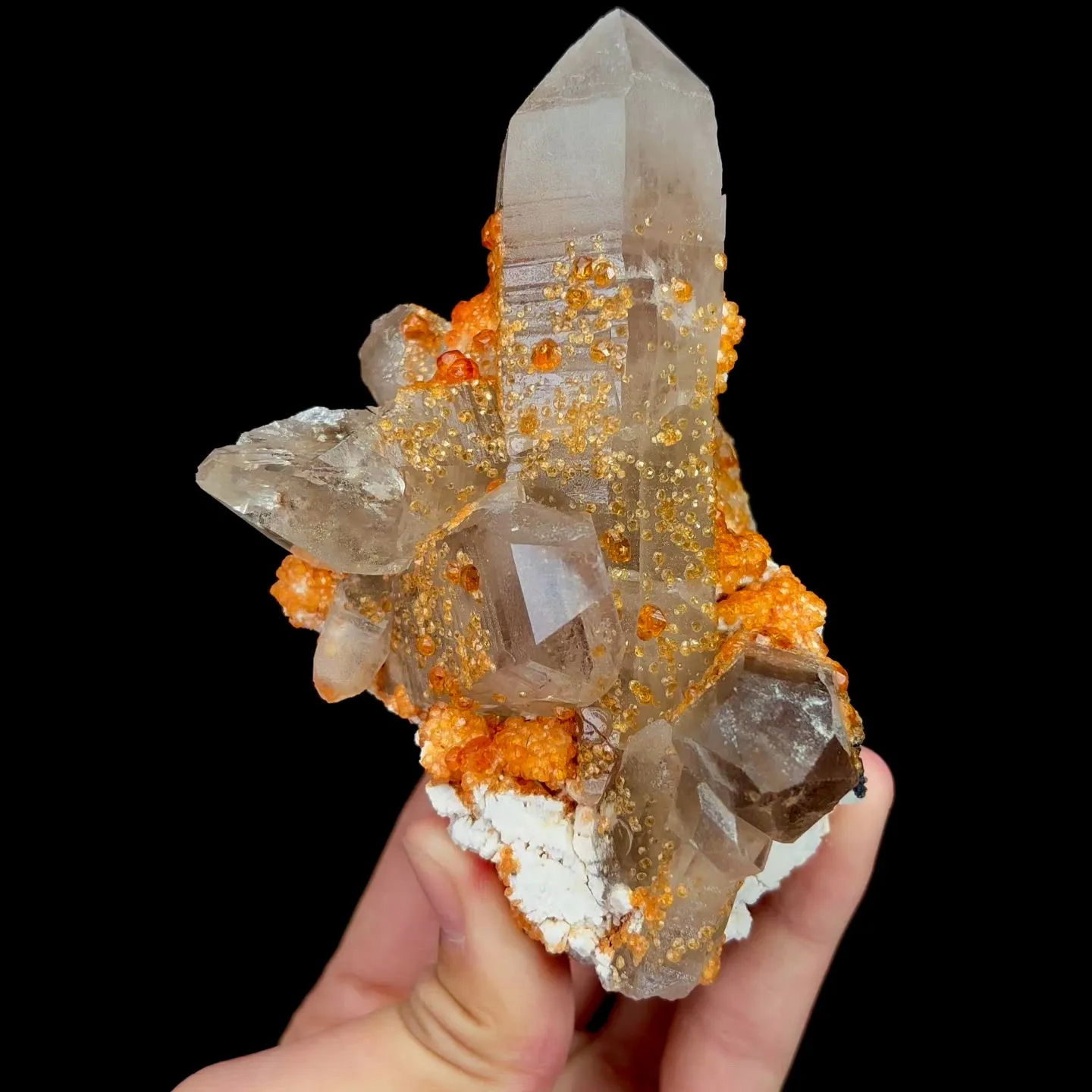 specimen video