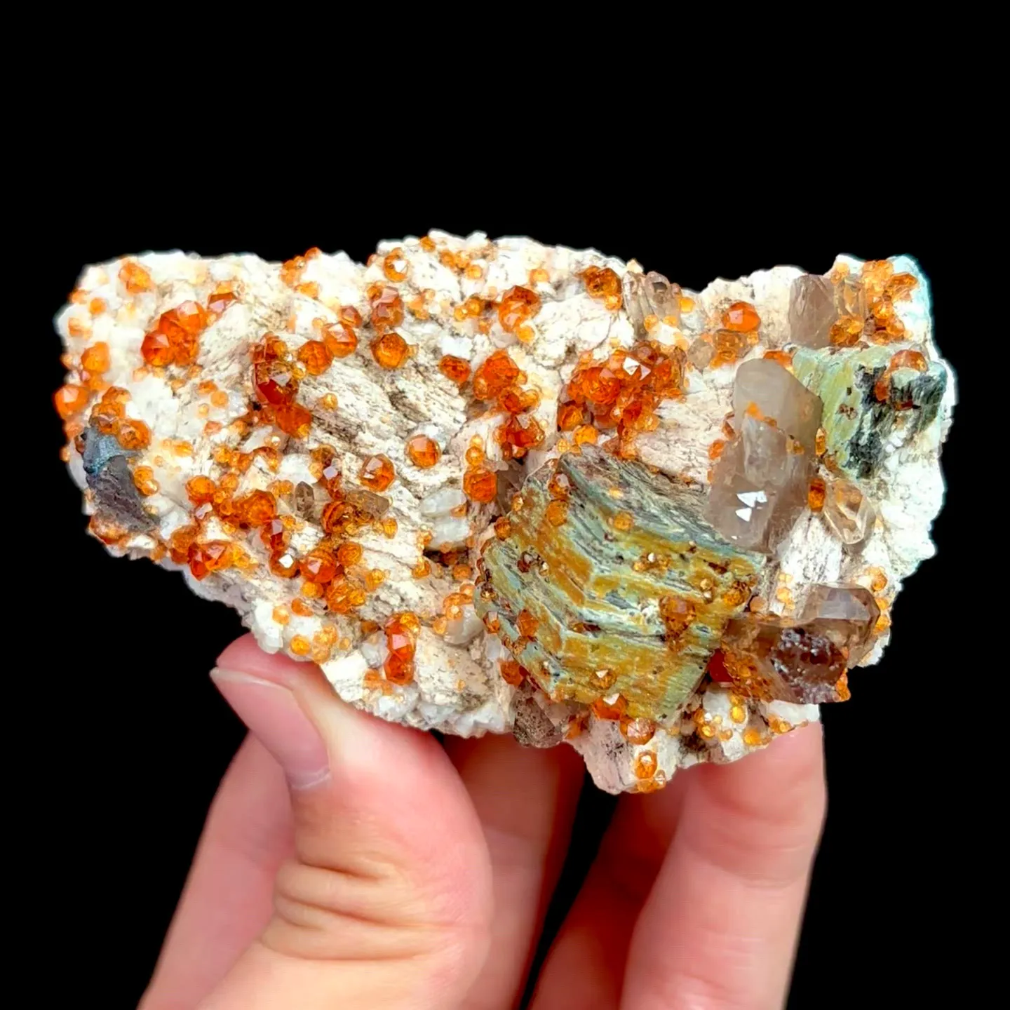 specimen video
