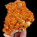 specimen video