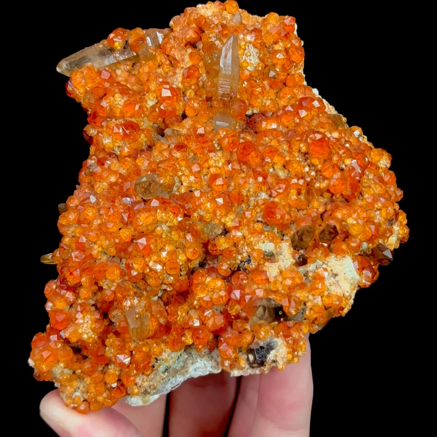 specimen video