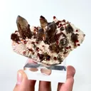 Natural Garnet and Smoky Quartz, Mineral Specimen:Fujian,China (95*55*45MM) - image 2