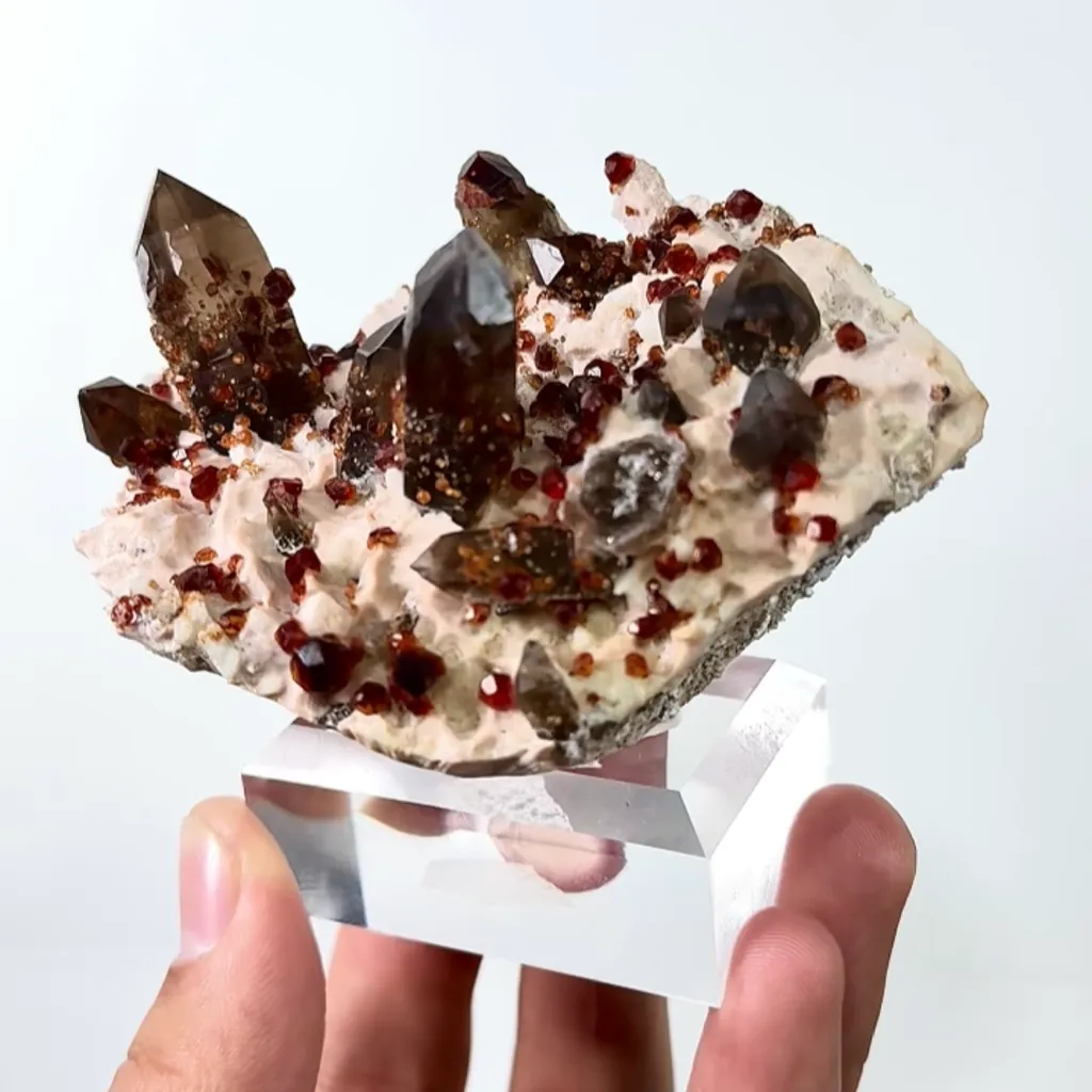 Natural Garnet and Smoky Quartz, Mineral Specimen:Fujian,China (95*55*45MM) - image 3