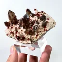 Natural Garnet and Smoky Quartz, Mineral Specimen:Fujian,China (95*55*45MM) - image 3