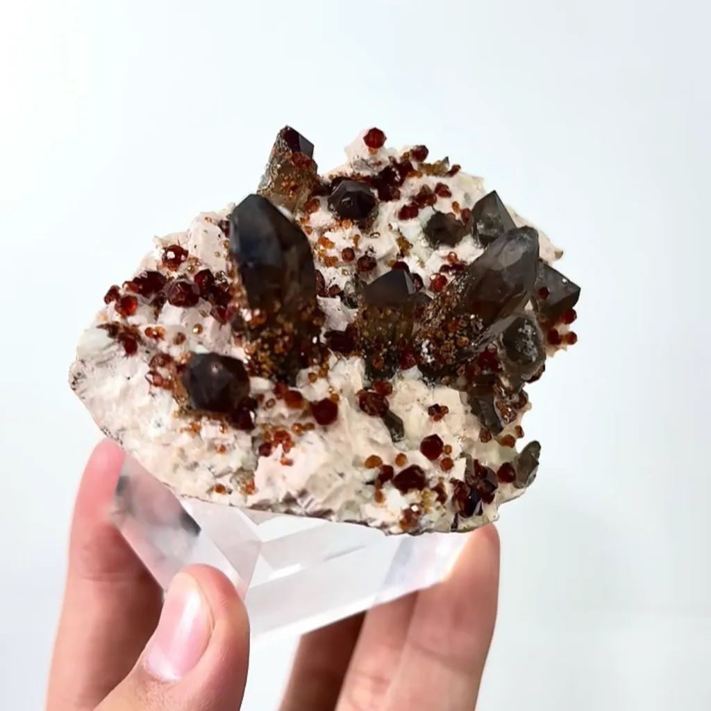 Natural Garnet and Smoky Quartz, Mineral Specimen:Fujian,China (95*55*45MM) - image 5