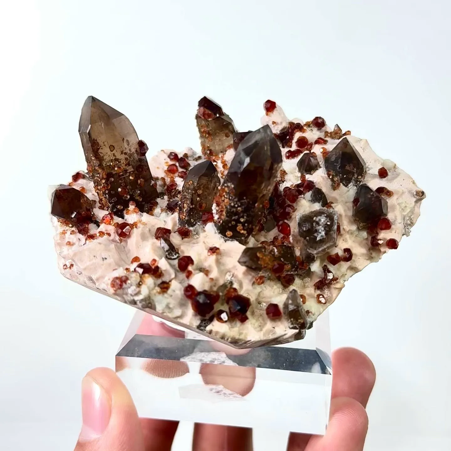 specimen video
