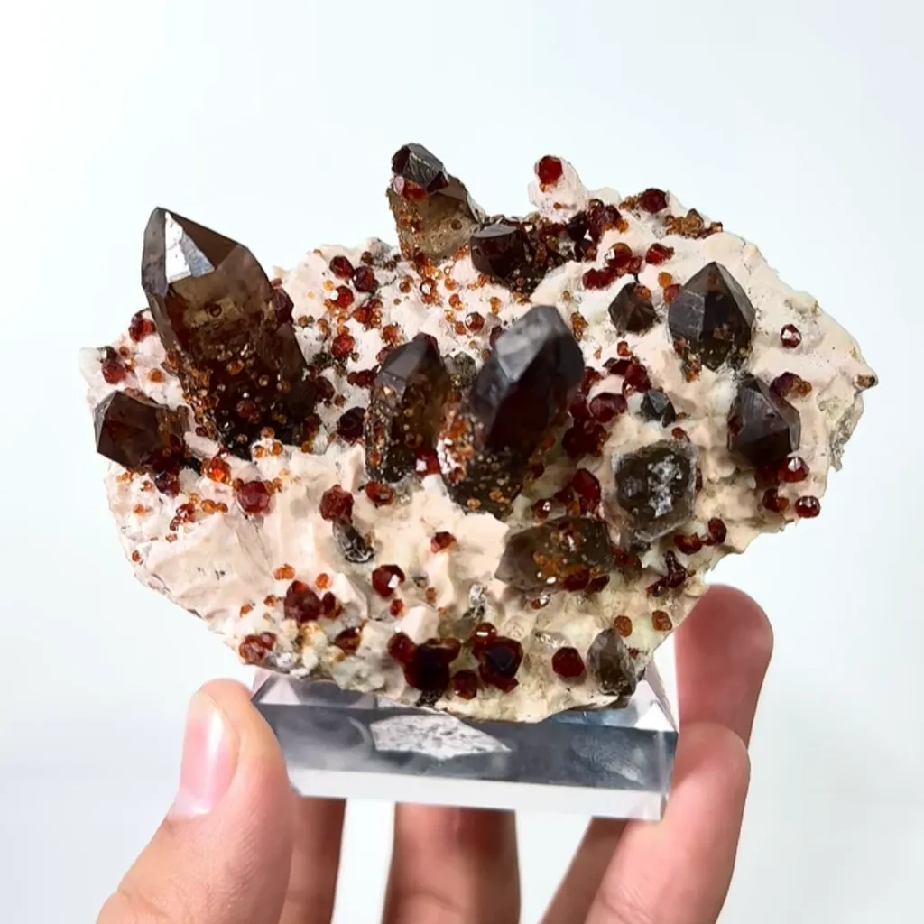 Natural Garnet and Smoky Quartz, Mineral Specimen:Fujian,China (95*55*45MM) - image 6