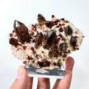 Natural Garnet and Smoky Quartz, Mineral Specimen:Fujian,China (95*55*45MM) - image 6