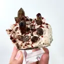 Natural Garnet and Smoky Quartz, Mineral Specimen:Fujian,China (95*55*45MM) - image 4