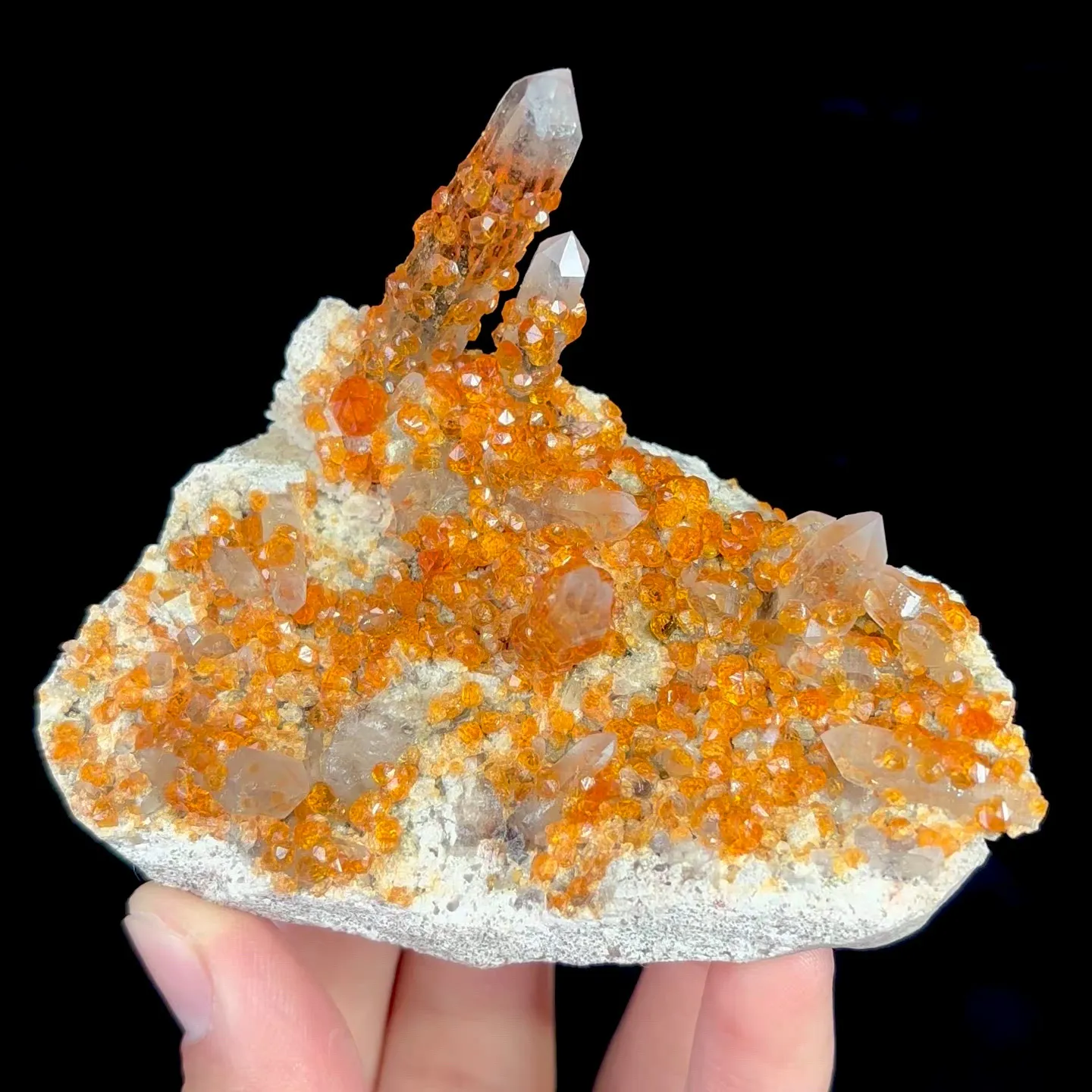 specimen video