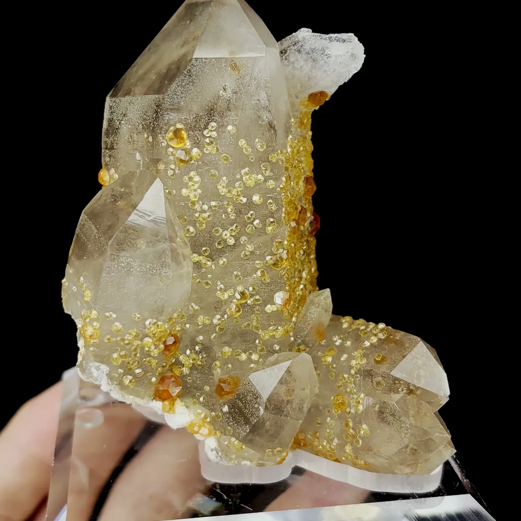 Natural Garnet and Smoky Quartz Mineral Specimen,High Quality Specimen,FUJIAN,CHINA(61*50*88mm) - image 4