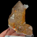 specimen video