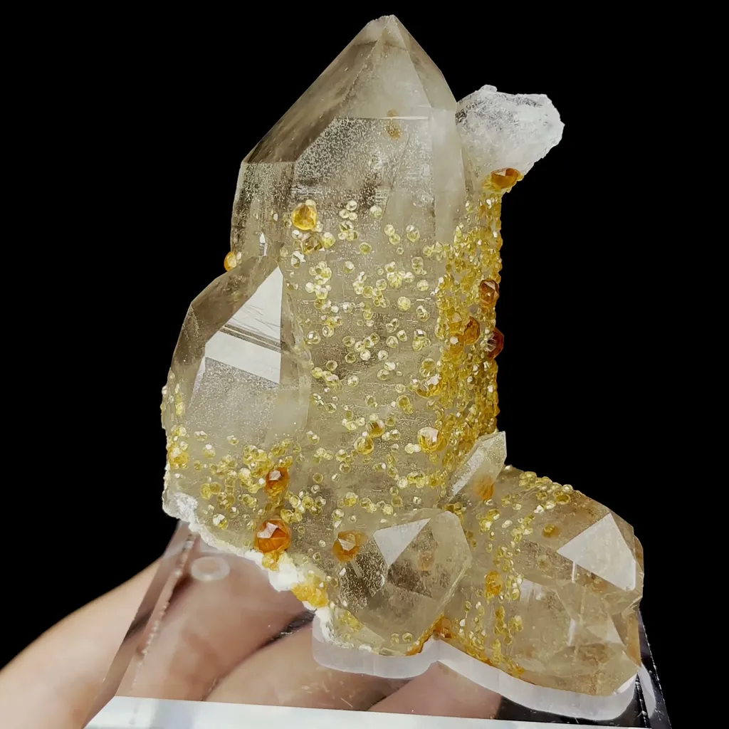 Natural Garnet and Smoky Quartz Mineral Specimen,High Quality Specimen,FUJIAN,CHINA(61*50*88mm) image