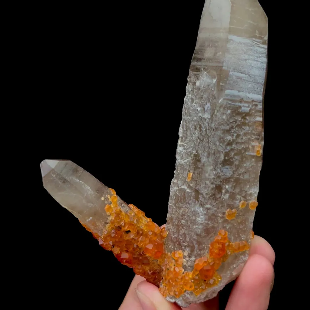 specimen video