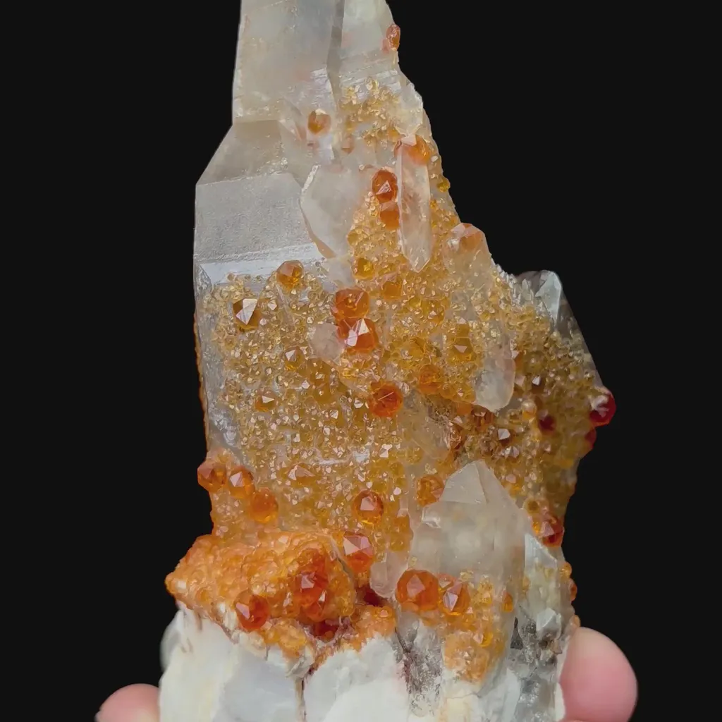 specimen video