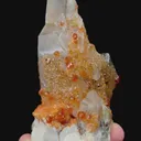 specimen video