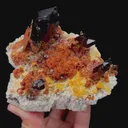 specimen video