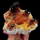 Natural Garnet and Smoky Quartz Mineral Specimen,High Quality Specimen,YUNXIAO,FUJIAN,CHINA(113*85*75mm) - image 4