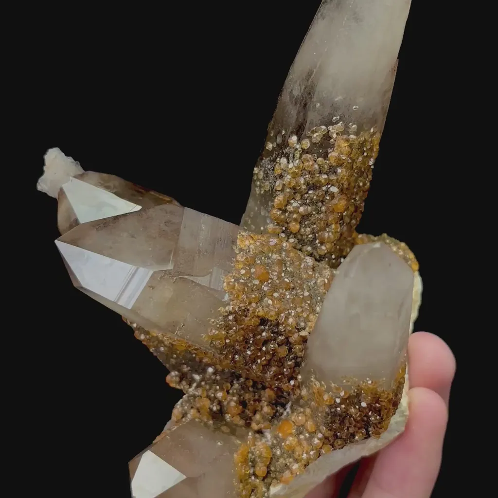 specimen video
