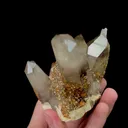 Natural Garnet and Smoky Quartz Mineral Specimen,High Quality Specimen,YUNXIAO,FUJIAN,CHINA(120*86*96mm) - image 3