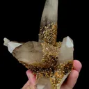 Natural Garnet and Smoky Quartz Mineral Specimen,High Quality Specimen,YUNXIAO,FUJIAN,CHINA(120*86*96mm) - image 4