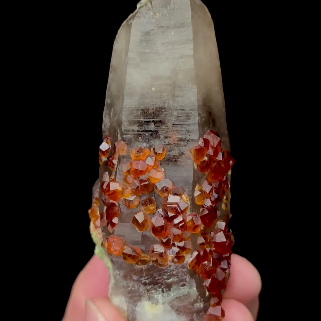 Natural Garnet and Smoky Quartz Mineral Specimen,High Quality Specimen,YUNXIAO,FUJIAN,CHINA(39*30*93mm) image