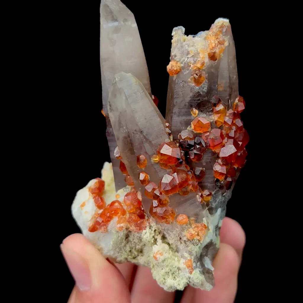 specimen video