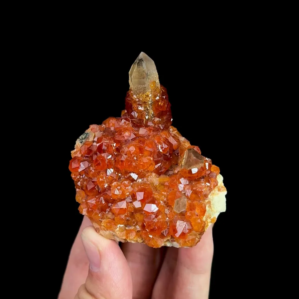 specimen video
