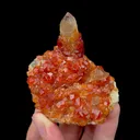 Natural Garnet and Smoky Quartz Mineral Specimen,High Quality Specimen,YUNXIAO,FUJIAN,CHINA(63*63*36mm) - image 1