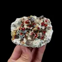 Natural Garnet and Smoky Quartz Mineral Specimen,High Quality Specimen,YUNXIAO,FUJIAN,CHINA(81*64*29mm) - image 4