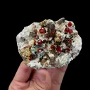 Natural Garnet and Smoky Quartz Mineral Specimen,High Quality Specimen,YUNXIAO,FUJIAN,CHINA(81*64*29mm) - image 2