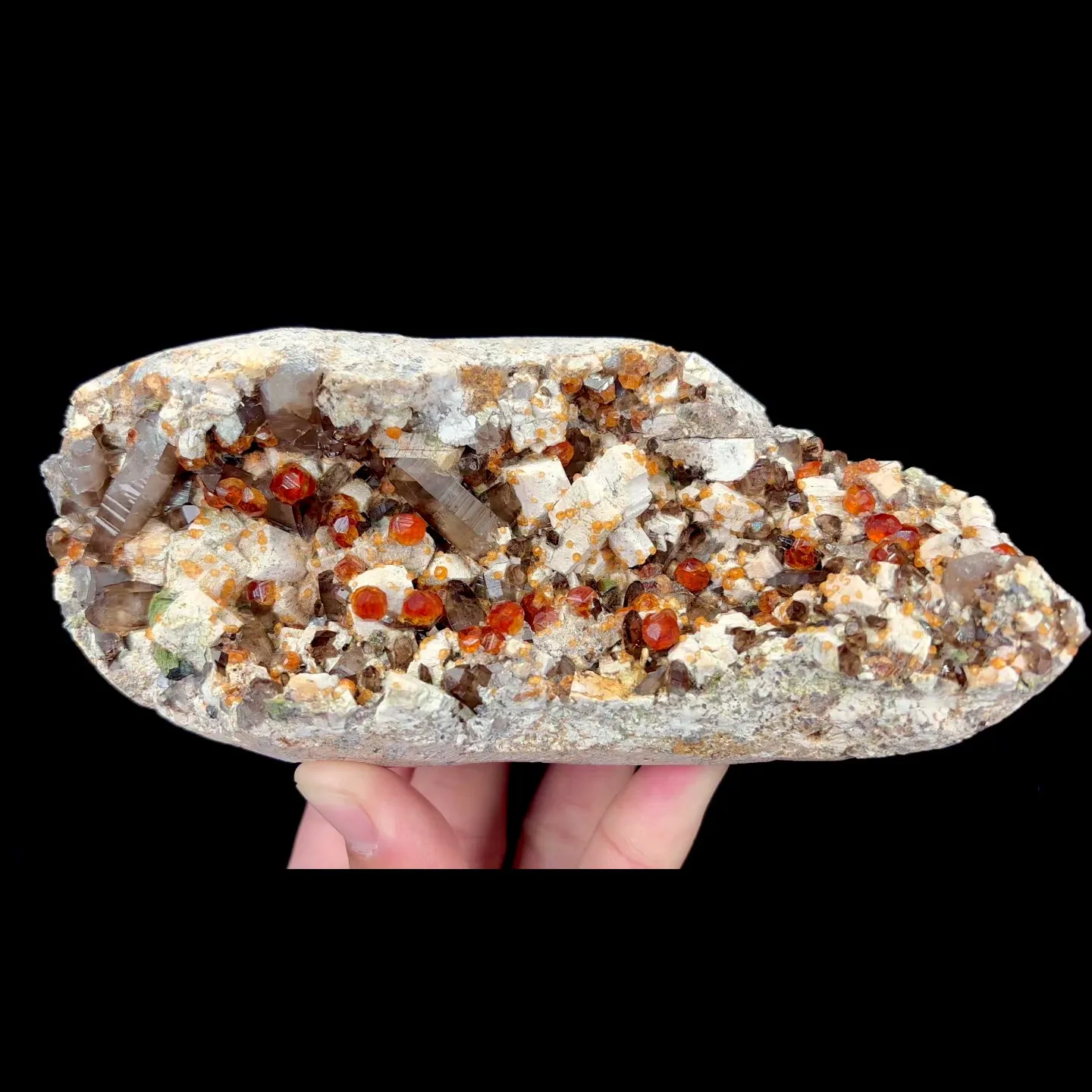 specimen video