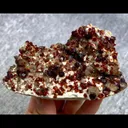 specimen video