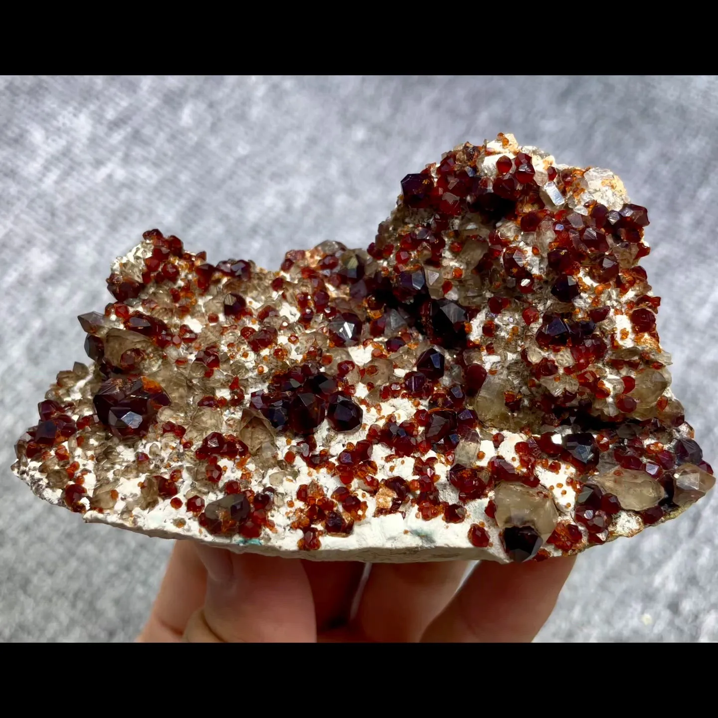 specimen video